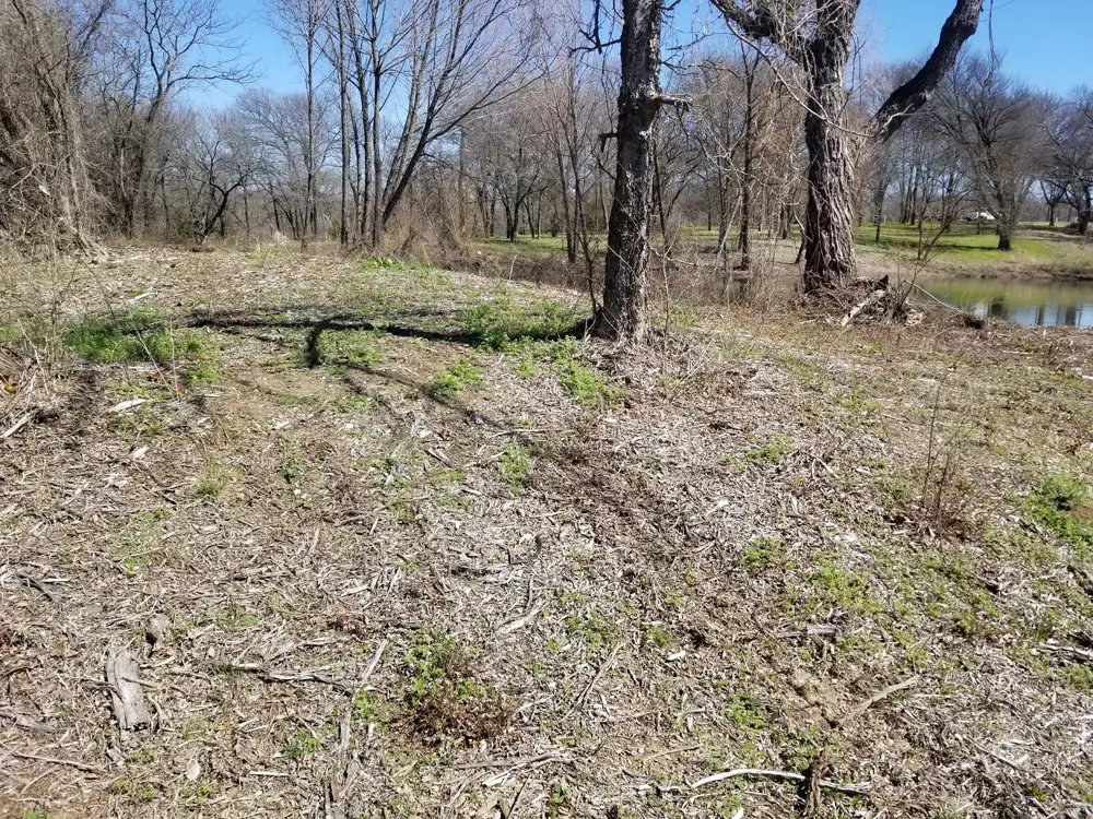 Dirt work, grading, and land clearing in Carrollton, TX