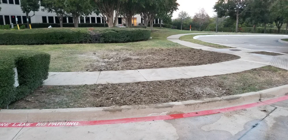 Driveway project 1